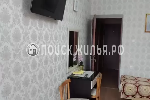 «Золотой рапан» «Золотой рапан»