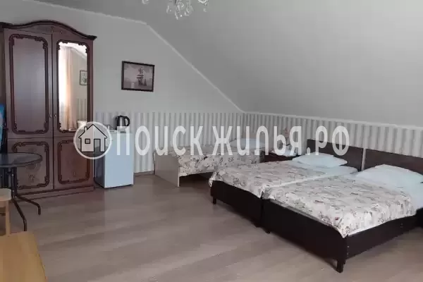 «Золотой рапан» «Золотой рапан»