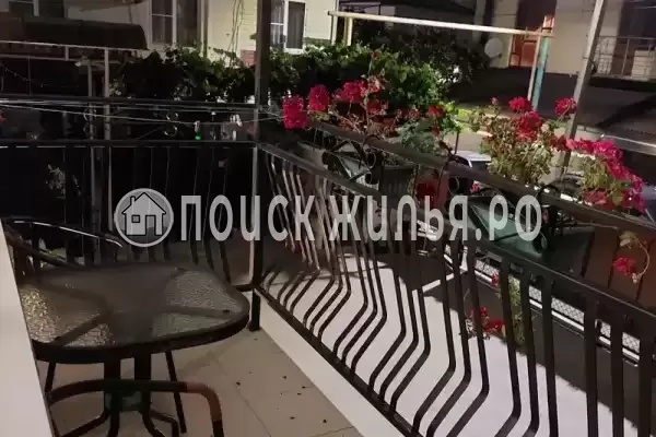 «Золотой рапан» «Золотой рапан»