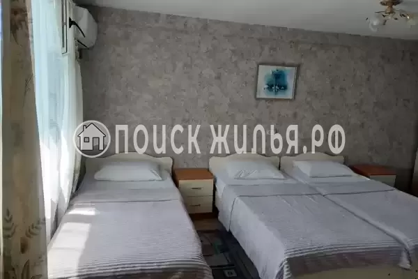 «Золотой рапан» «Золотой рапан»