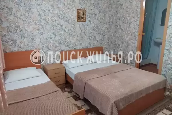 «Золотой рапан» «Золотой рапан»