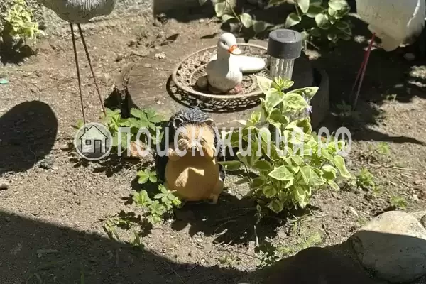 Гостевой дом «Морской прибой»