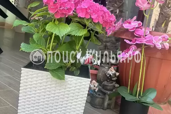 Гостевой дом «Морской прибой»