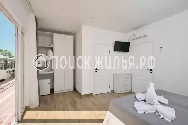 «Черный кот»