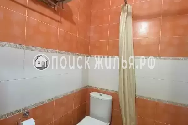 «Золотой Пегас»