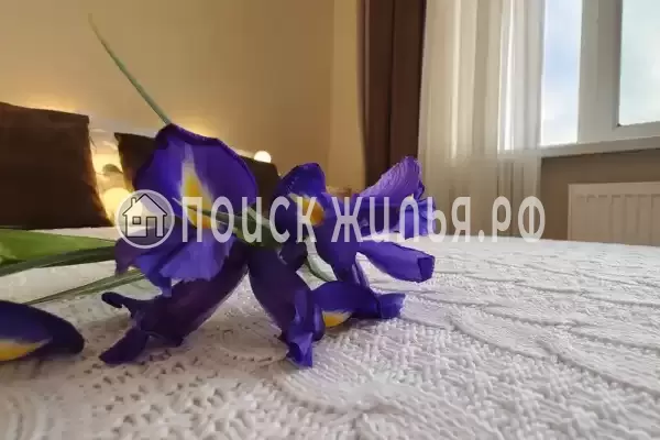 «Центральная» «Центральная»