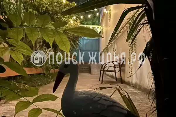 «Лазуриус» «Лазуриус»