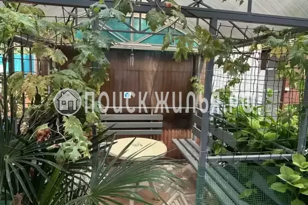 «Лазуриус» «Лазуриус»