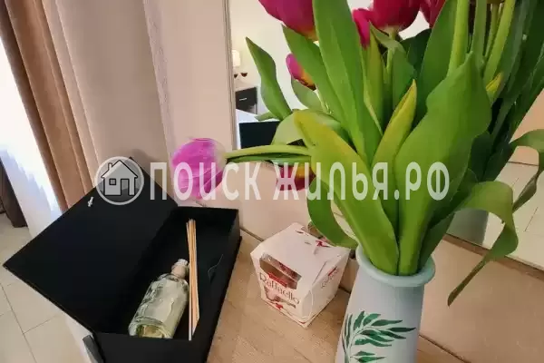 «Центральная» «Центральная»