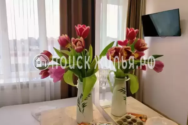 «Центральная» «Центральная»