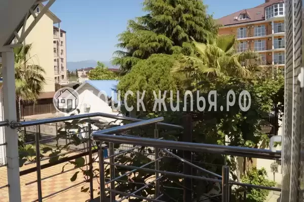 «Крокус» «Крокус»