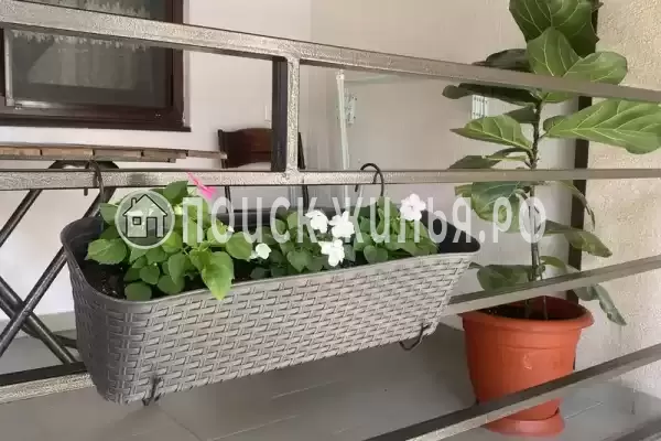 Гостевой дом «Вероника-1»