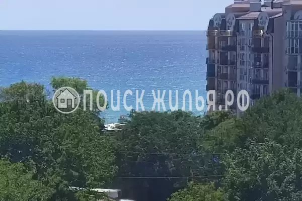 «Антонина»