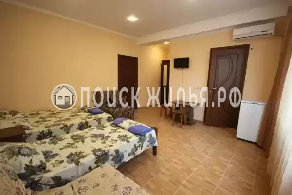 «Два капитана» «Два капитана»