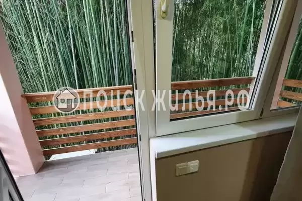 «Бамбуковая роща» «Бамбуковая роща»