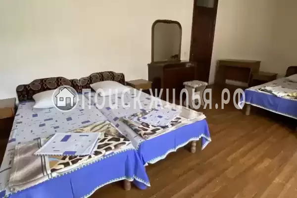 «Бамбуковая роща» «Бамбуковая роща»