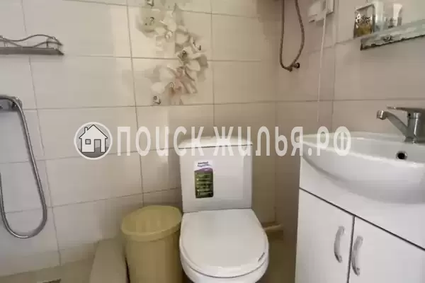 «Бамбуковая роща» «Бамбуковая роща»