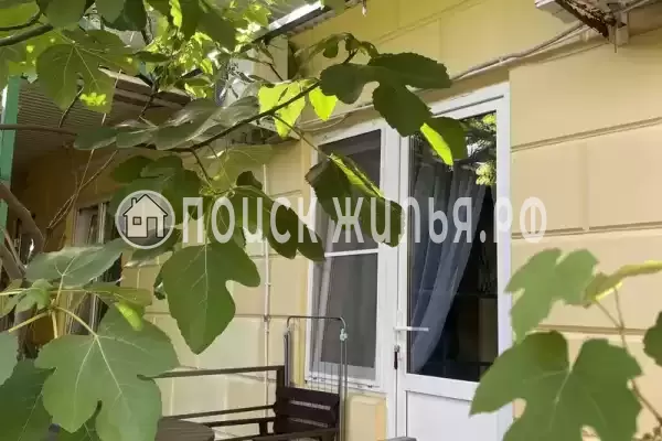 «Фламинго» «Фламинго»