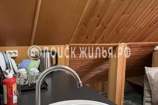 «Фламинго» «Фламинго»