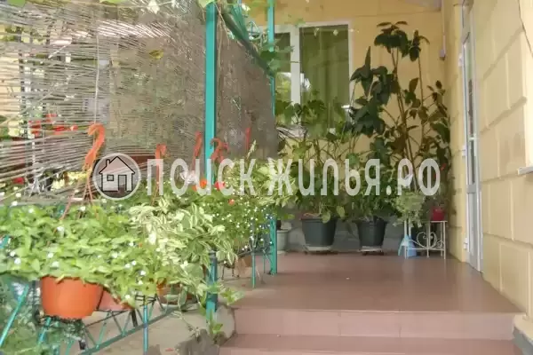 «Фламинго» «Фламинго»