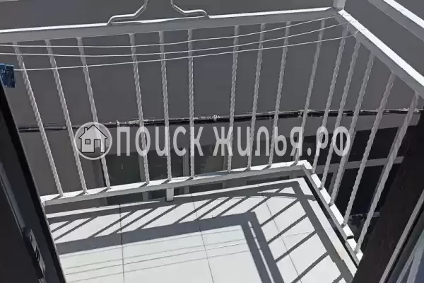 «Маргарита» «Маргарита»