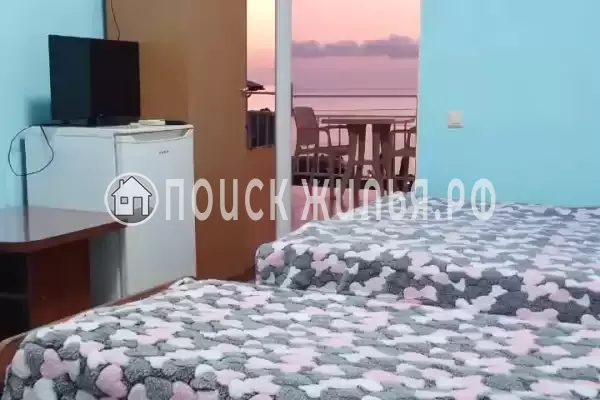 «Надежда» «Надежда»