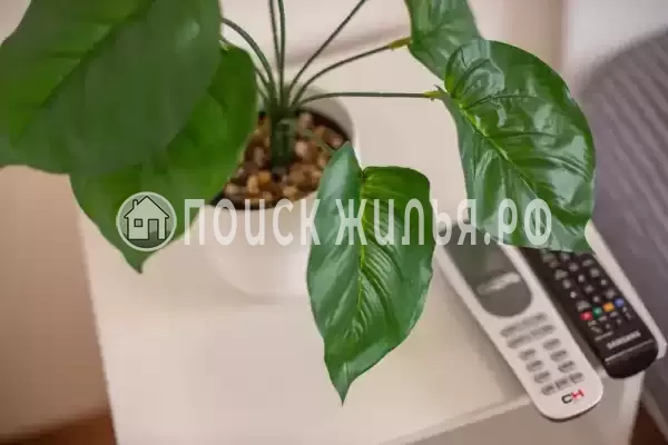 «Марьина роща» «Марьина роща»