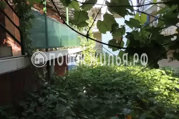 «Южный двор»