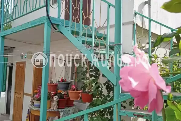 «Агойский бриз» «Агойский бриз»