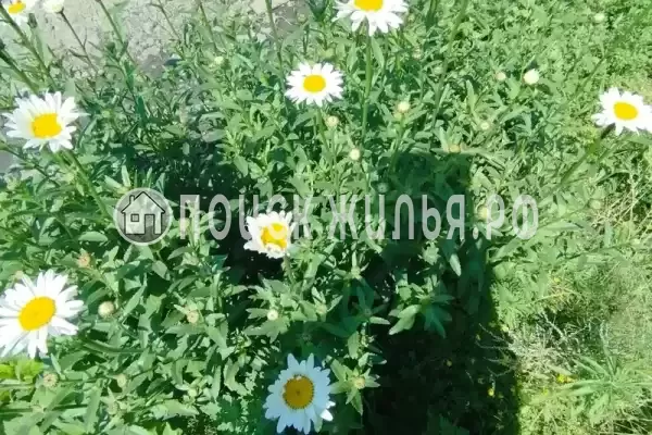 Гостевой дом «Руслан» Гостевой дом «Руслан»