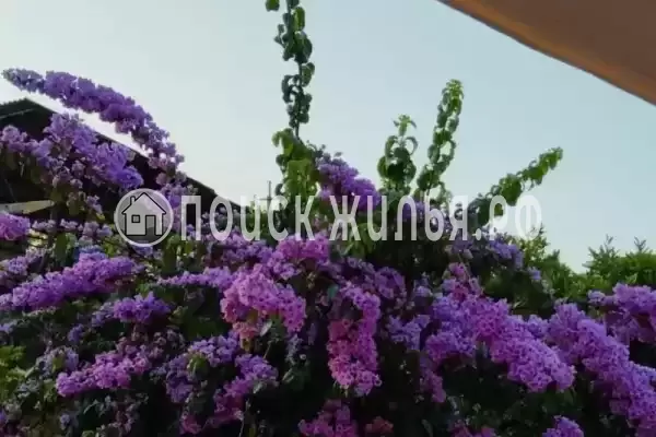 Гостевой дом «Руслан» Гостевой дом «Руслан»