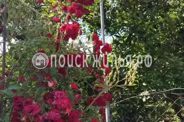 Гостевой дом «Руслан» Гостевой дом «Руслан»