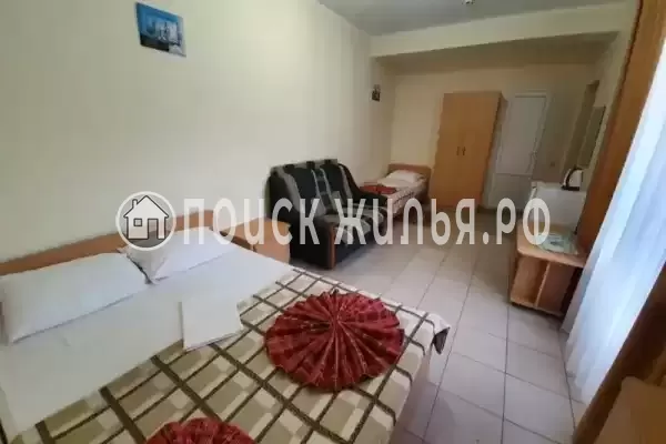 «Янис» «Янис»