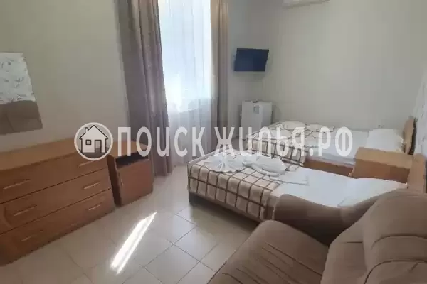 «Янис» «Янис»