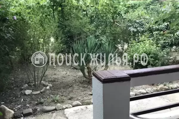 «Роза пикуба»