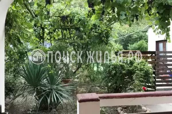 «Роза пикуба»