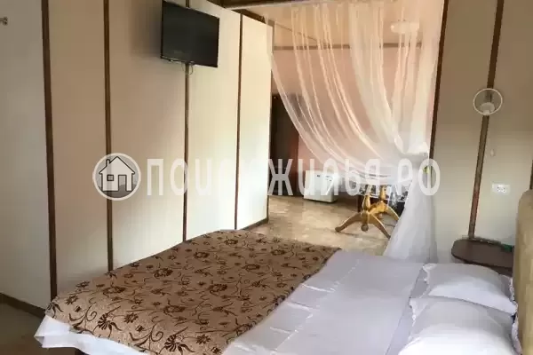 «Роза пикуба»