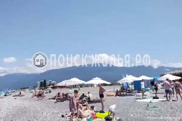 Отель «Lion» Отель «Lion»