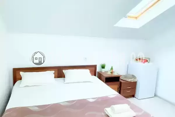 «Longan» «Longan»