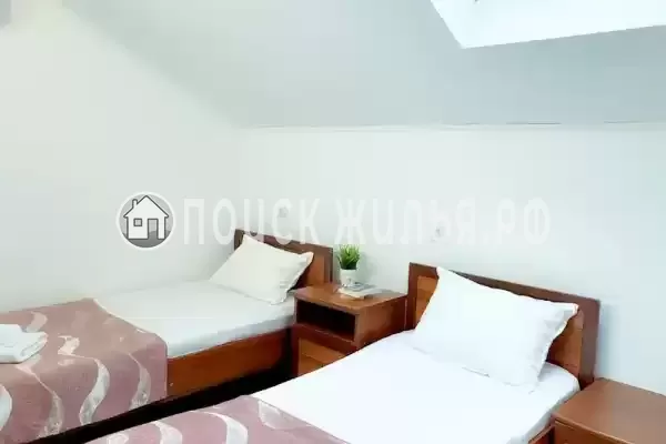 «Longan» «Longan»