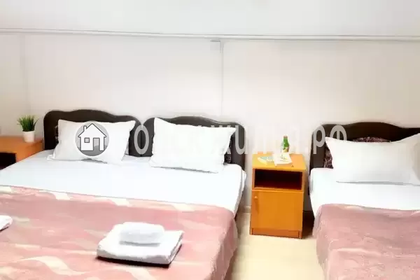 «Longan» «Longan»