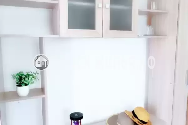 «Longan» «Longan»