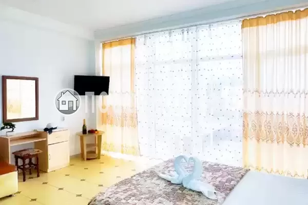 «Longan» «Longan»