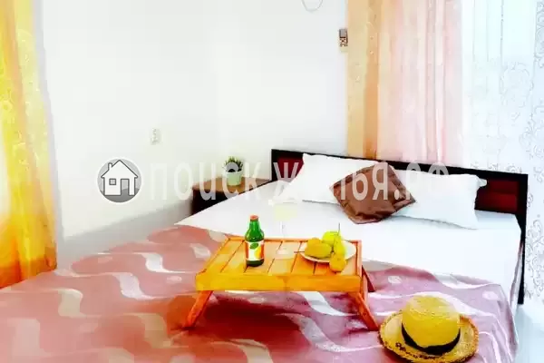 «Longan» «Longan»