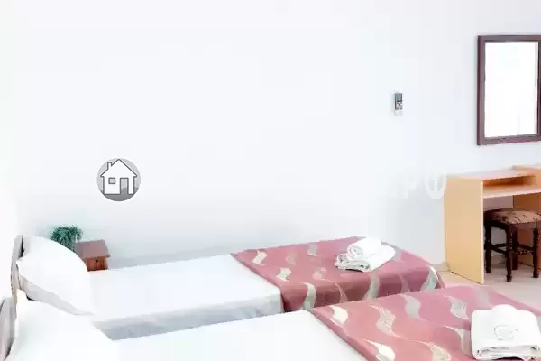 «Longan» «Longan»