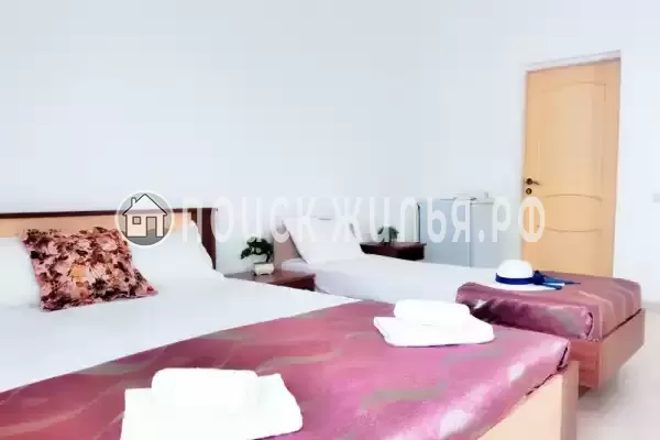 «Longan» «Longan»