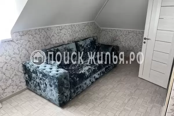 «Династия»