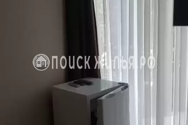 «Гортензия» «Гортензия»