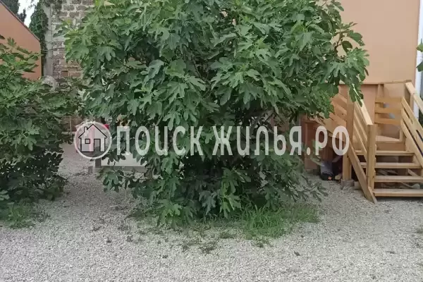 «У Алима» «У Алима»