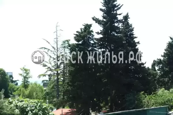 «Ланета» «Ланета»